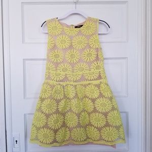 Adorable Floral Spring or Summer Dress by Black